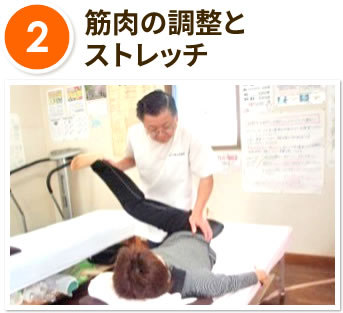 2.筋肉の調整とストレッチ